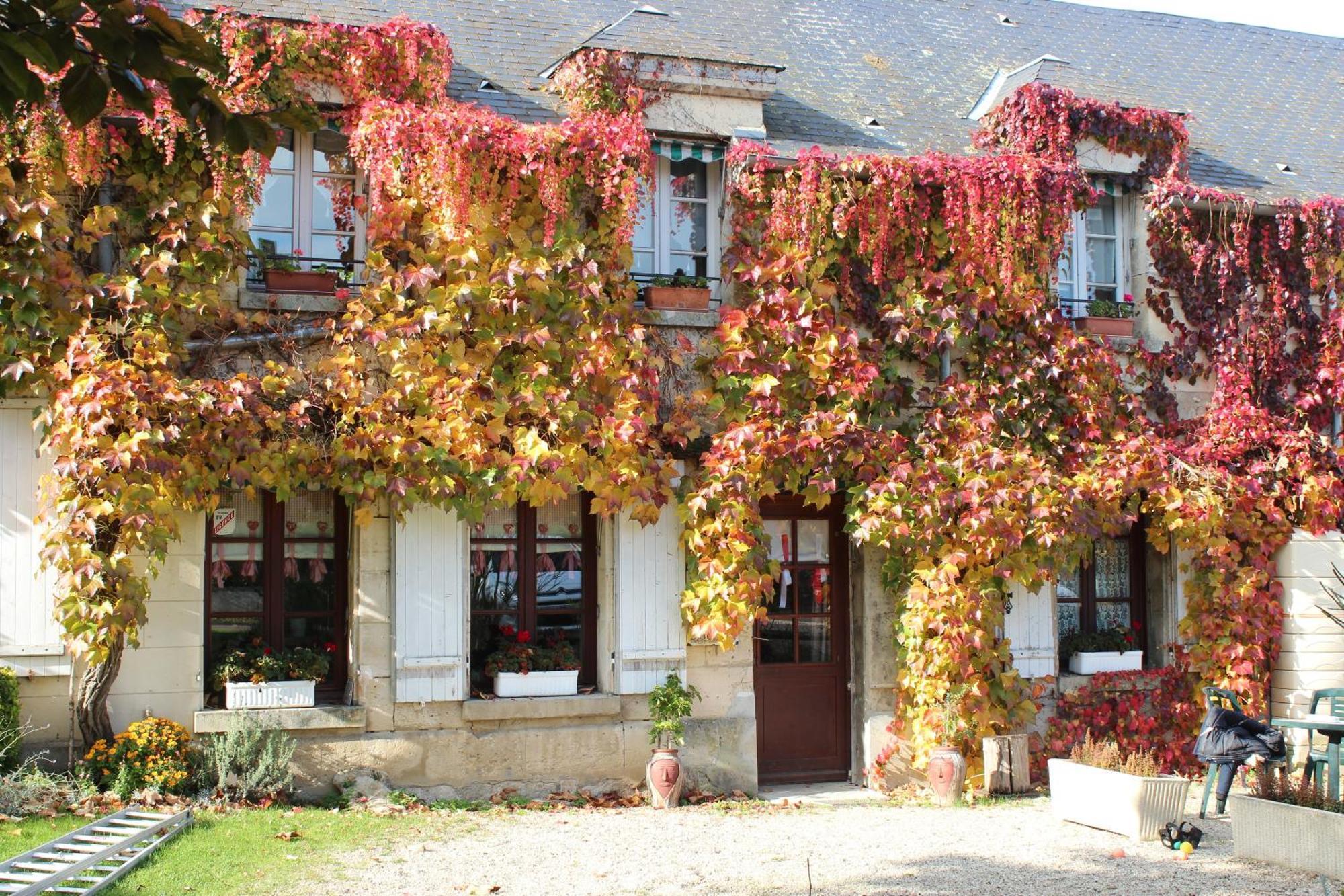 Bed and Breakfast Ma Gentilhommiere Croutoy Zewnętrze zdjęcie